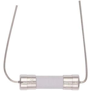 Ceramic Slow-Blow Fuse for Playstation 5 PS5 (T8A / H / 250V) (5x20mm / 0.19 x0.79)