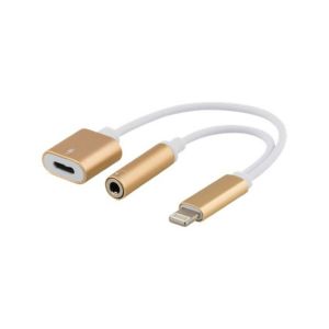 Iphone Dual Aux and Usb Charger