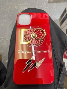 For Apple 11 Pro Max Case Cover - Red