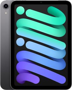 Pre-Owned iPad Mini 6th Generation 64GB Cellular - Space Gray (No Box)(Battery 100%)(C6)(F4)(Data Wiped)