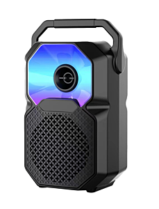 WESDAR 6.5" Outdoor Bluetooth Speaker with RGB Lights